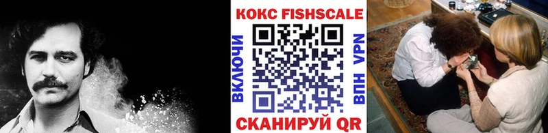 Кокаин Fish Scale  kraken вход  Новочеркасск 