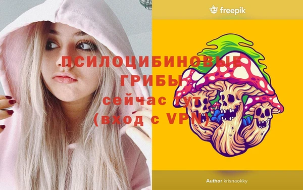 а пвп мука Козловка