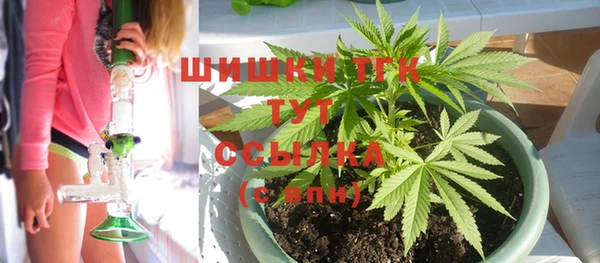 ECSTASY Кодинск