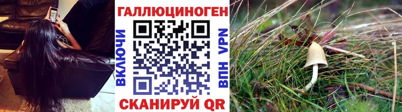 даркнет сайт  Новочеркасск  Галлюциногенные грибы GOLDEN TEACHER 